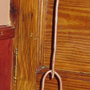 Plants: imagen 20 de 40 thumb