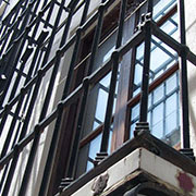 Plants: imagen 23 de 40 thumb