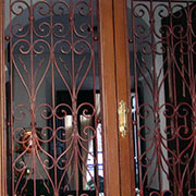 Plants: imagen 26 de 40 thumb