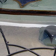 Plants: imagen 31 de 40 thumb