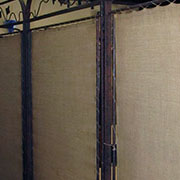 Plants: imagen 33 de 40 thumb