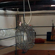 Plants: imagen 38 de 40 thumb