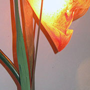 Plants: imagen 5 de 40 thumb