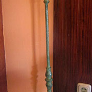 Plants: imagen 9 de 40 thumb